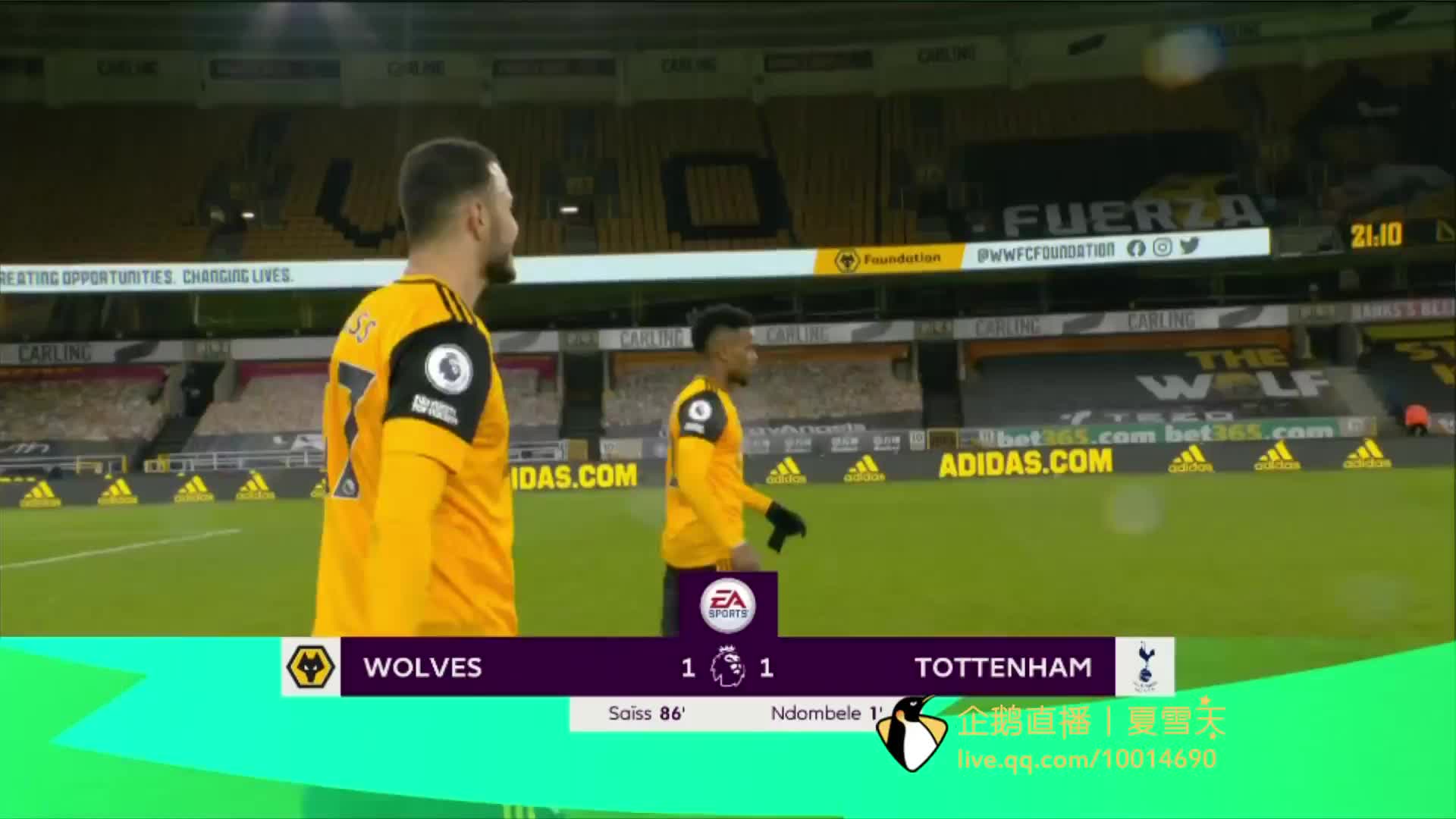 不可忽视的 不可忽视的